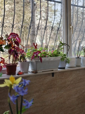 Vând apartament 3 camere decomandat