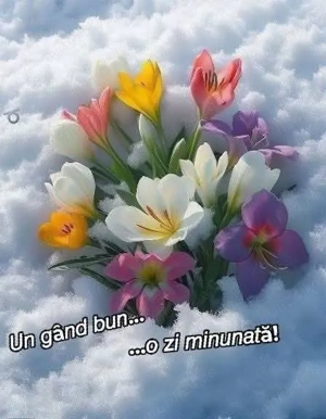 casa. intr,o zona linistita