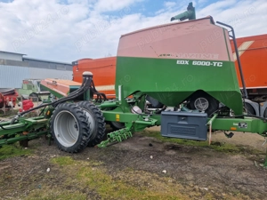 Semanatoare Amazone EDX - imagine 2