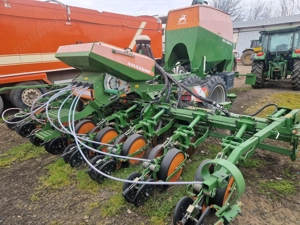 Semanatoare Amazone EDX - imagine 5