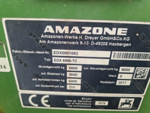 Semanatoare Amazone EDX