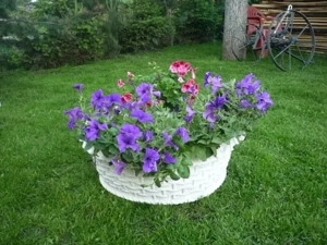 Ghivece de flori din beton