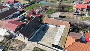 Dudestii Noi, Hala, Disponibila imediat - imagine 7