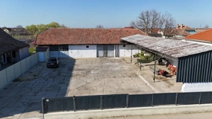 Dudestii Noi, Hala, Disponibila imediat