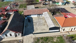 Dudestii Noi, Hala, Disponibila imediat - imagine 4