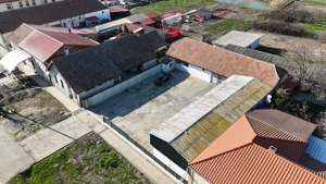 Dudestii Noi, Hala, Disponibila imediat - imagine 2