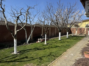 Casa Individuala Sag (Timis) - Vatra Satului - 3 Camere + Anexa - imagine 3