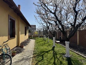 Casa Individuala Sag (Timis) - Vatra Satului - 3 Camere + Anexa - imagine 8