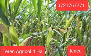 De vanzare 4Ha teren arabil Ianca Braila teren agricol