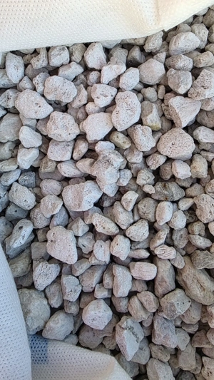 Pești, plante, material filtrant, lumina LED - acvariu