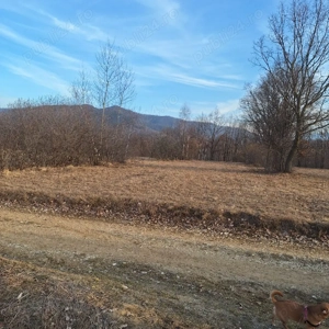 Vind teren etravilan - imagine 2