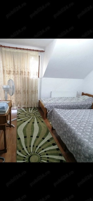 vand casa si afacere Cenad - imagine 4