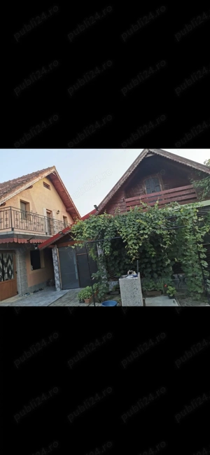 vand casa si afacere Cenad - imagine 3