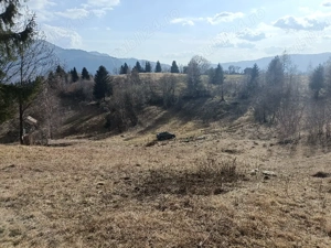 Ocazie unică !!! - imagine 10