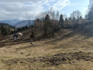 Ocazie unică !!! - imagine 9