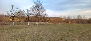 Teren Intabulat Intravilan cu Nr de Casa ,drum Privat 4600 mp - imagine 8