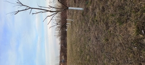 Teren Intabulat Intravilan cu Nr de Casa ,drum Privat 4600 mp - imagine 3