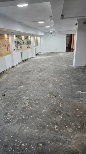 Spatiu comercial 120mp   Stradal la subsol  - Stefan cel Mare - imagine 7