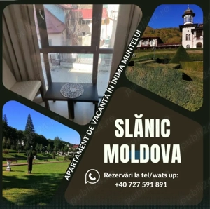 Oportunitate apartament vacanță, investiție și activitate  - imagine 4