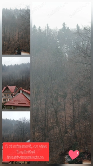 Oportunitate apartament vacanță, investiție și activitate  - imagine 3