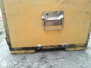 vand stup  - imagine 3