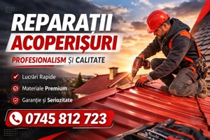 Reparații Acoperișuri Bilka Constanța | Montaj Țiglă Metalică + Urgențe - imagine 2