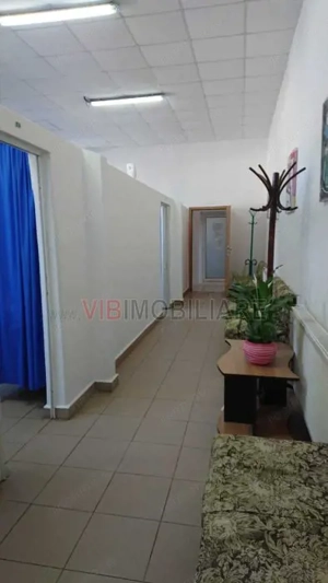 Complex balnear - Calacea - Timis - 15 HA - imagine 5