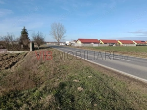 Teren intravilan investitie, urbanism rezidential si dotari, Bucovat - imagine 3