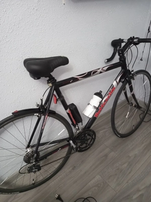 Cursiera Bottecchia (italiana)