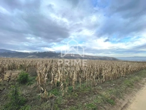 Teren extravilan | 3400 mp | Paclisa | Alba Iulia