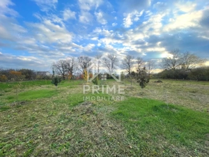 Teren generos cu livadă | 2.260 mp | Paclisa | Alba Iulia