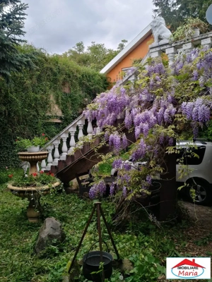 Casa solida cu teren 719 mp in Piata Titulescu - imagine 9