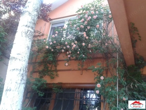 Casa solida cu teren 719 mp in Piata Titulescu - imagine 5