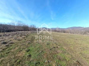  Teren Generos în Pâclișa – Intimitate și Natură la un pas de oraș