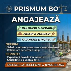 Angajam Meseriasi în Construciii