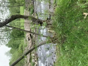 Teren de vanzate-Ideal pt vila de vacanta