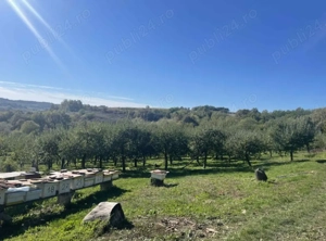 DE VÂNZARE   Casă cu teren și livadă în Săliște, comuna Băsești