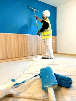 Zugraveli profesionale