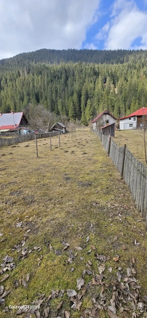 Teren de vanzare la munte, in sat Pârâul Borca - imagine 3