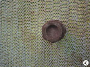 Piulite Chevrolet Captiva ( 2006- ) - imagine 2