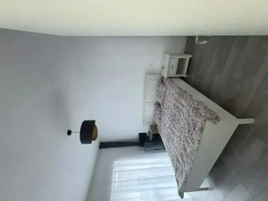 Apartament 2 camere | Mobilat | Dumbravita - imagine 8