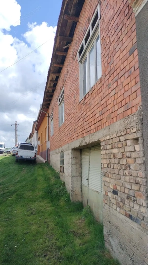 Vând casă și teren intravilan în comuna Târnova, jud.Caraș-Severin, suprafata utilă de 1032 mp. - imagine 2