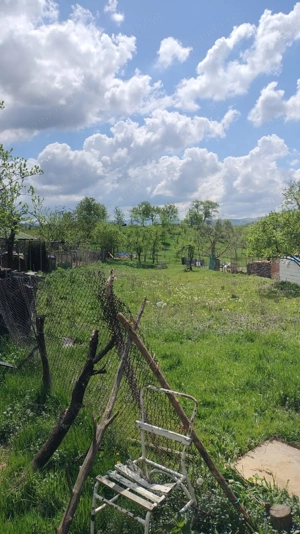 Vând casă și teren intravilan în comuna Târnova, jud.Caraș-Severin, suprafata utilă de 1032 mp. - imagine 5