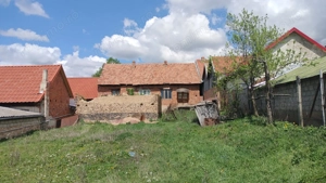 Vând casă și teren intravilan în comuna Târnova, jud.Caraș-Severin, suprafata utilă de 1032 mp. - imagine 8