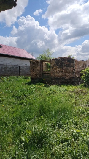 Vând casă și teren intravilan în comuna Târnova, jud.Caraș-Severin, suprafata utilă de 1032 mp. - imagine 6