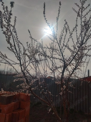 OCAZIE !Casa de vânzare în Nădlac 