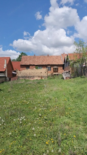 Vând casă și teren intravilan în comuna Târnova, jud.Caraș-Severin, suprafata utilă de 1032 mp. - imagine 7