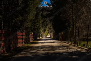 Terenuri la marginea pădurii – Poiana Mărului, zonă superbă | Com 0% - imagine 14