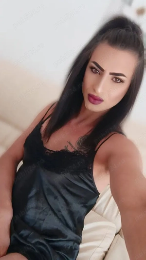 kasy   ts servici de calitate show web  - imagine 2