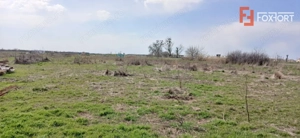 Parcela de teren de 798 mp pentru casa in Peciu Nou - imagine 3